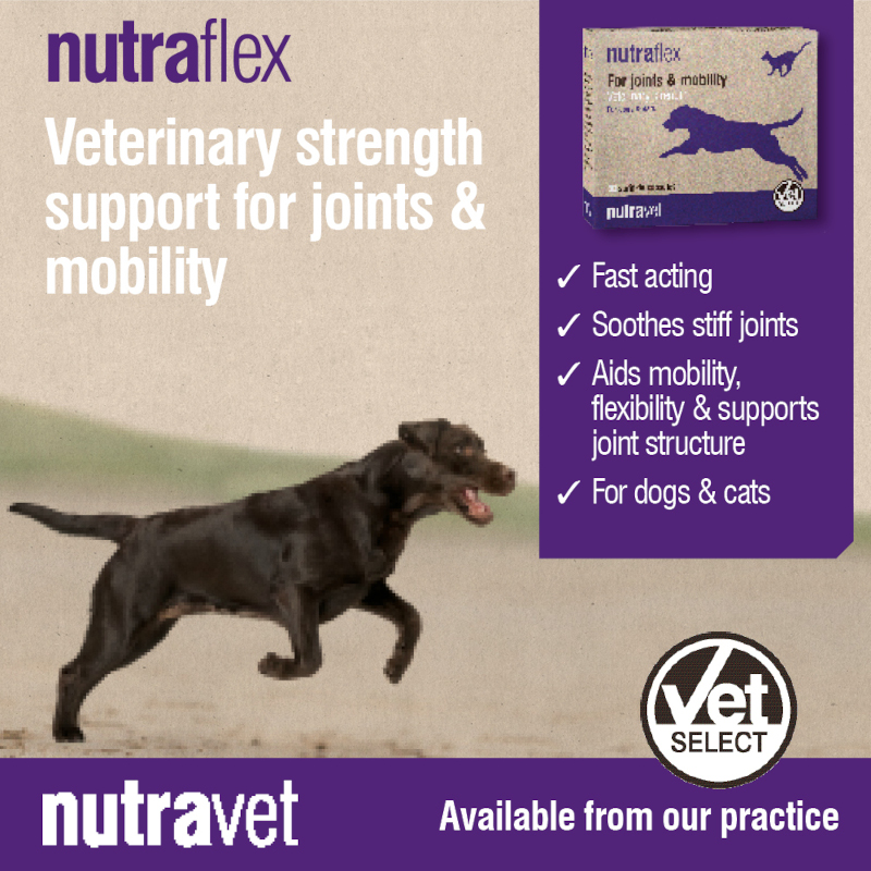 Nutraflex Dogs & Cats Capsules - Image 4