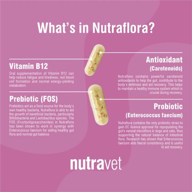 Nutraflora Dogs & Cats Capsules - Image 2