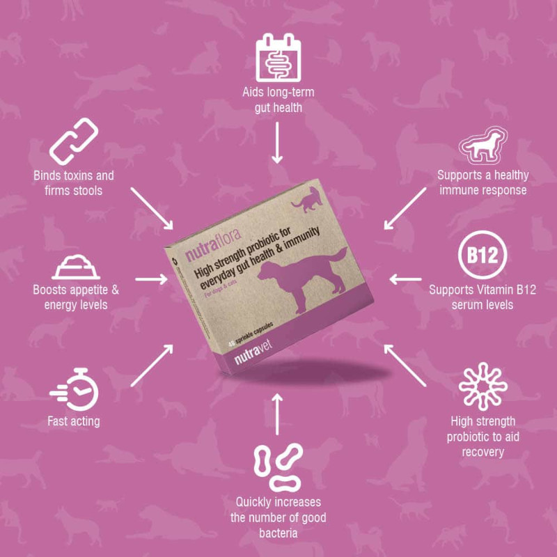 Nutraflora Dogs & Cats Capsules - Image 3