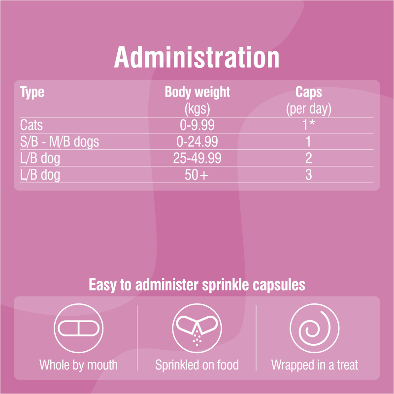 Nutraflora Dogs & Cats Capsules - Image 4