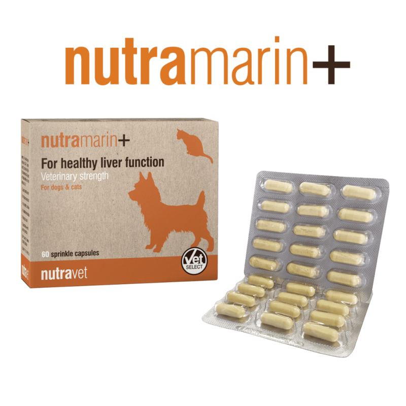 Nutramarin+ Dogs & Cats Capsules