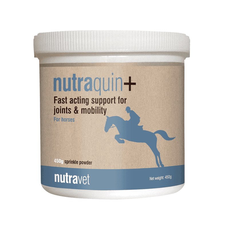 Nutraquin+ Equine 450g
