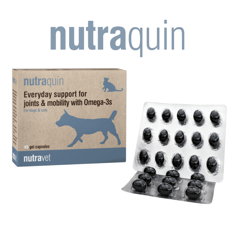 Nutraquin Dogs & Cats Capsules