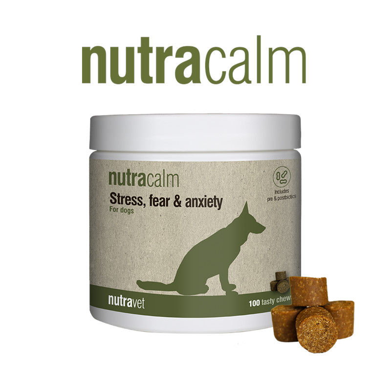 Nutracalm Dogs & Cats Chew