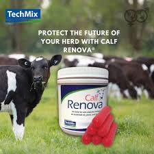 Techmix Calf Renova 12 x 5g Tub
