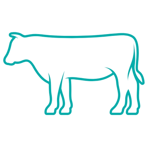 Beef Icon