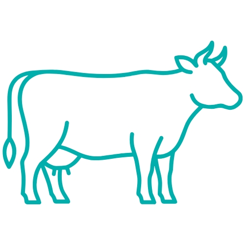 Dairy icon