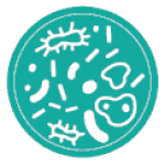mastitis3 mastitis3
